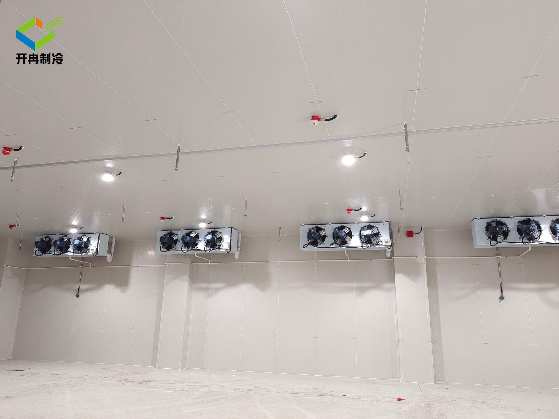 疫苗滅活菌類 疫苗冷庫設(shè)計(jì)方案 疫苗滅活菌類 疫苗冷庫設(shè)計(jì)方案