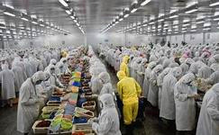 上海電商冷庫建造、運營