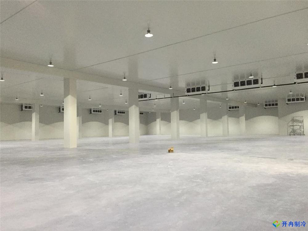 浙江建-60℃金槍魚超低溫冷庫，冷庫總價預算多少