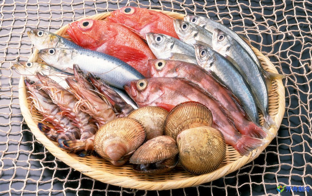 上海建造海鮮冷庫,冷庫報價表