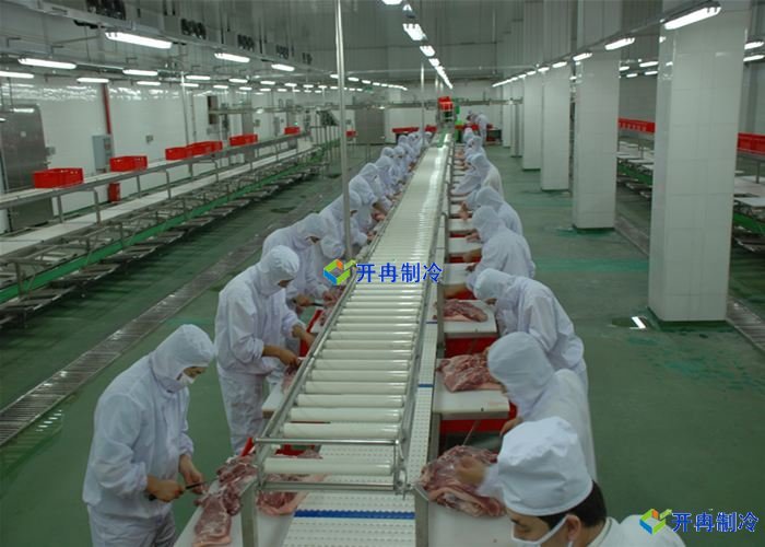 屠宰場(chǎng)建造1000㎡豬肉冷凍庫(kù)建造收費(fèi)標(biāo)準(zhǔn)