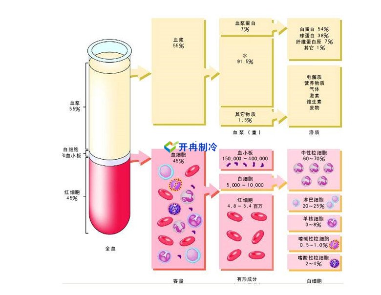 -30℃～-80℃血漿蛋白低溫冷凍庫規范，冷庫安裝價格