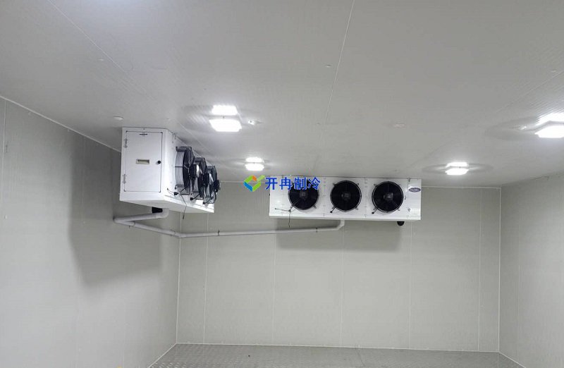 三甲醫院冷庫，體外診斷試劑冷庫